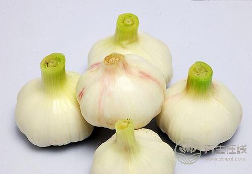 春季養(yǎng)護血管,這4種蔬菜你該多吃 春季養(yǎng)護血管,這4種蔬菜你該多吃