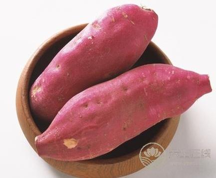 夏天喝什么粥有助于保胃養胃