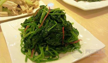 夏至養生食譜有哪些 三款美食清涼開胃