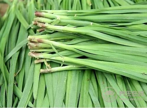 夏季什么食物有助身體殺菌 夏季什么食物有助身體殺菌