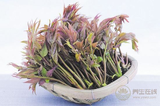 春季養(yǎng)生哪家強，蔬菜水果來幫忙