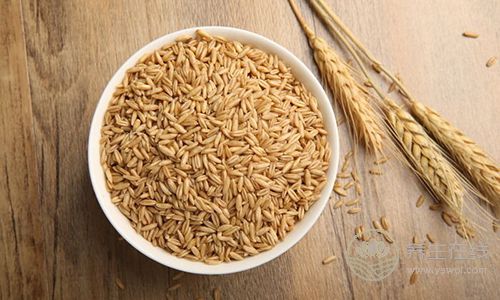 夏天便秘怎么辦？7種食物助你排便通暢、養出好氣色