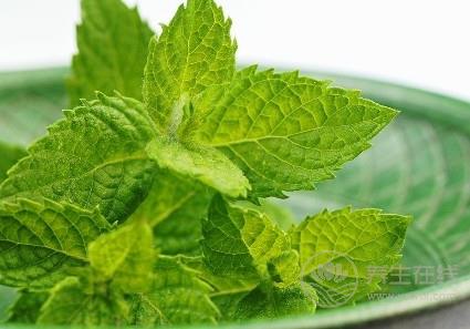 夏季辦公室族易患風(fēng)熱感冒？ 3款薄荷飲品可治愈