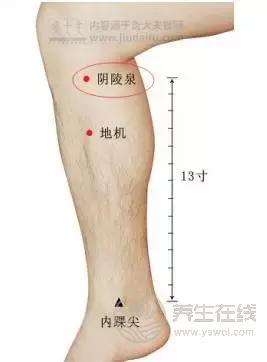夏季濕氣不除、越補越毒！祛濕氣最厲害的，不是薏米，而是它！