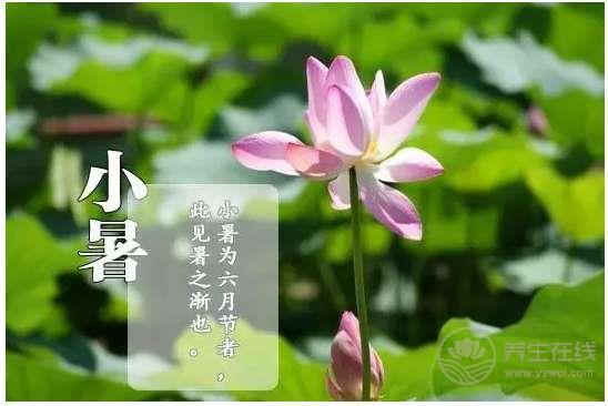 節氣養生—小暑怎么養生