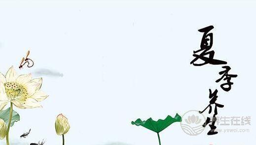 夏季養(yǎng)生小常識適量地補充蛋白質(zhì)