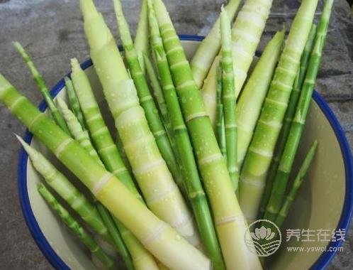 提高抵抗力病毒不入侵！春天提升免疫力的10大好食材