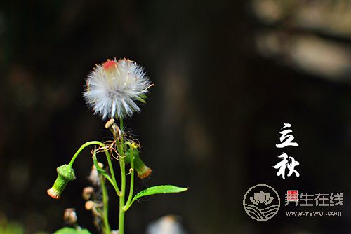 立秋后，這種東西就不能再吃了，當(dāng)心
