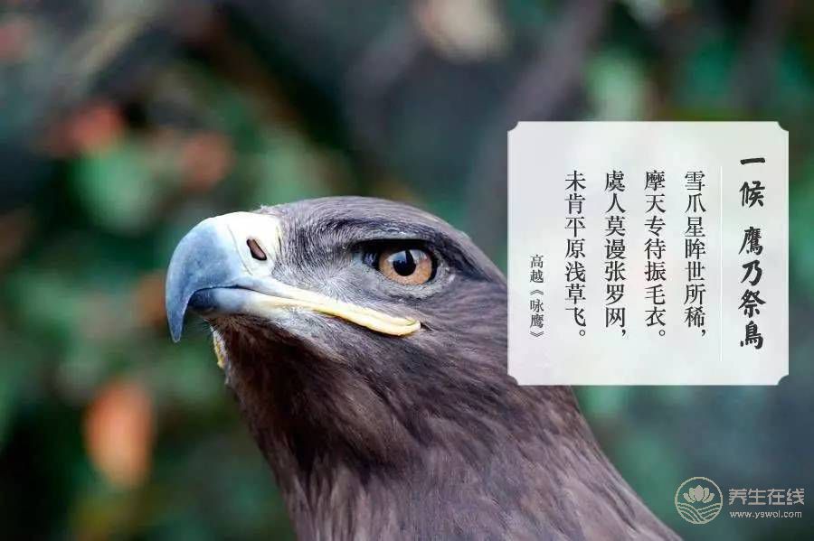 處暑的來歷 處暑的來歷