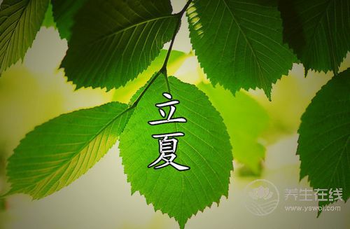 立夏養(yǎng)生:晚睡+早起+午休更健康 立夏養(yǎng)生:晚睡+早起+午休更健康