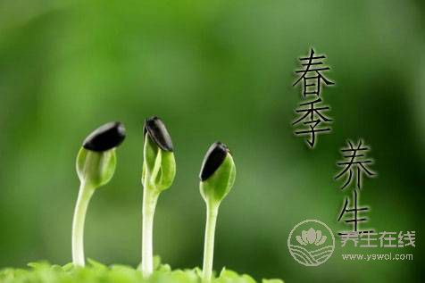 春季養(yǎng)陽 飲食宜忌需清楚