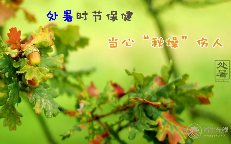 處暑吃什么食物  應(yīng)該如何養(yǎng)生