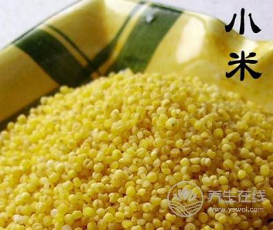 夏天喝什么粥有助于保胃養胃