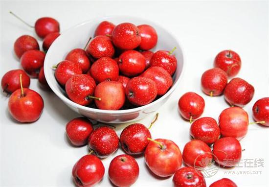 秋季潤肺離不開這3類食物! 秋季潤肺離不開這3類食物!