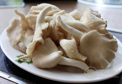 秋季多吃菌類，營養豐富，對身體好處多多