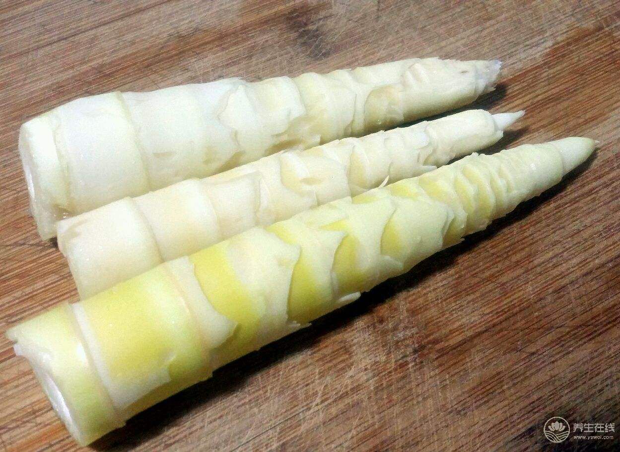 冬筍和春筍的區別？