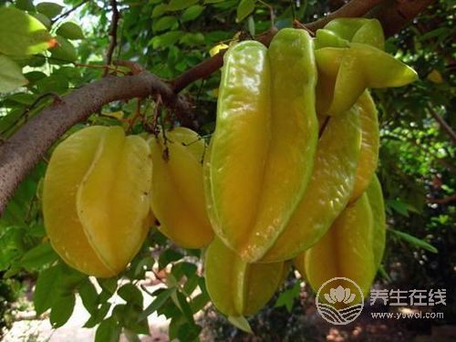 8月份不可錯過的水果，味美營養(yǎng)養(yǎng)生