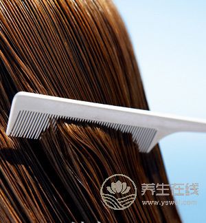 春天養(yǎng)生從“頭”開始,你的頭好好嗎？