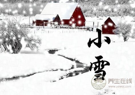 小雪前后兩個養生關鍵是什么你知道嗎？可以預防心腦血管的疾病