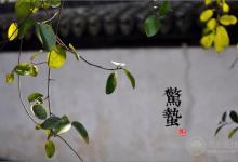 2018年驚蟄時間，驚蟄天氣如何，驚蟄有哪些習俗，驚蟄如何養(yǎng)生