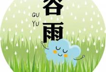 谷雨養生,你應該在飲食上這樣注意一下！