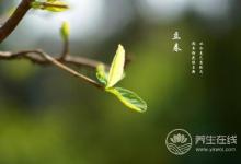 谷雨時節，谷雨如何養生