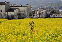2018春分時(shí)間_春分是什么時(shí)候_吃什么養(yǎng)生_春分習(xí)俗