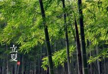 2018立夏時(shí)間_立夏是什么時(shí)候_吃什么養(yǎng)生_立夏習(xí)俗