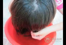 秋季愛脫發？用桑葉水洗頭可防治脫發