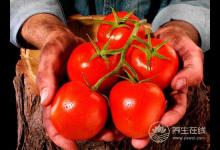 男人夏季想要補(bǔ)陽氣？5種食物一定得吃