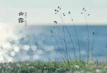 霜降養(yǎng)生重點在于膝關節(jié)！