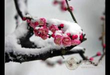 大雪節(jié)氣養(yǎng)生該注意什么？