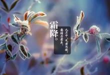 2018年立冬是哪一天?立冬怎么養生？
