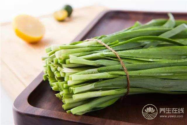 秋季時節(jié)可食用韭菜養(yǎng)生
