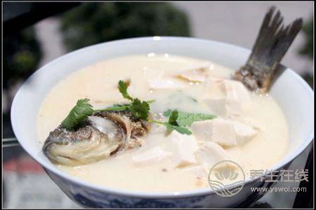 春季有哪些養胃粥?