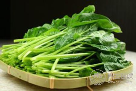 谷雨節氣適合吃哪些食物?