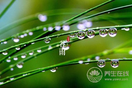 谷雨節氣的由來?