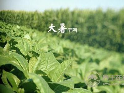大暑預(yù)防哪些疾病發(fā)生?