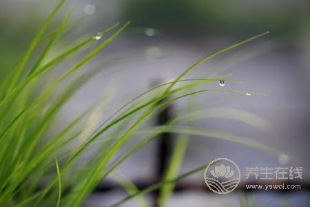 立秋是幾月幾日2019?