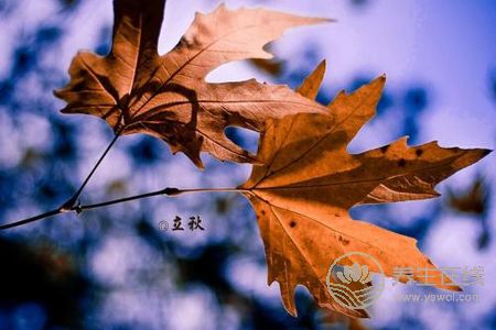 2019年立秋幾點幾分?立秋有哪些節(jié)氣習(xí)俗?
