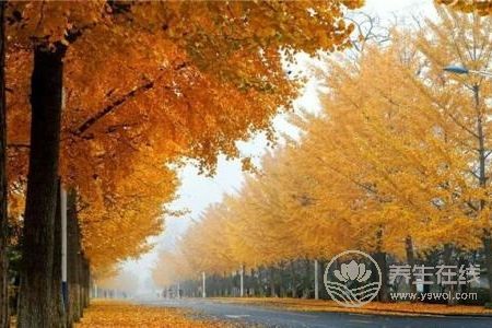 秋分是哪一天?秋分期間的天氣氣候特點(diǎn)是什么?