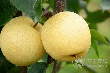 秋季感冒的原因有哪些?預(yù)防感冒的水果有哪些?