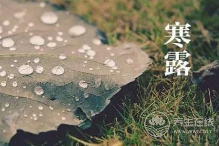 寒露的來歷是什么?寒露節氣如何養生?