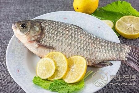 寒露節氣吃什么?寒露節氣潤燥食譜是什么?
