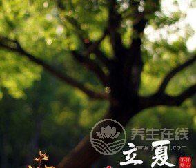 立夏有哪些習俗 立夏吃了蛋熱天不疰夏-易網<a href=http://m.aoa7937.com/ target=_blank class=infotextkey>健康養生</a>網 立夏有哪些習俗 立夏吃了蛋熱天不疰夏