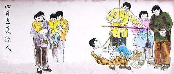 立夏“稱人”