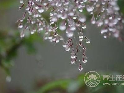 春季養(yǎng)生喝什么湯 花旗參烏雞湯補血