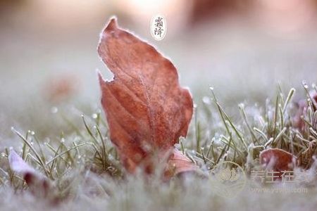 霜降有哪些運動適合養生呢?霜降運動養生的作用是什么?