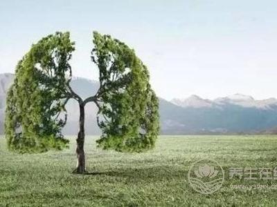 霜降如何養(yǎng)生?霜降時節(jié)如何養(yǎng)肺?