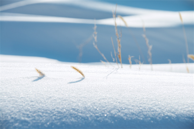 下雪天出門怎么防寒？防寒保暖這幾招就夠了